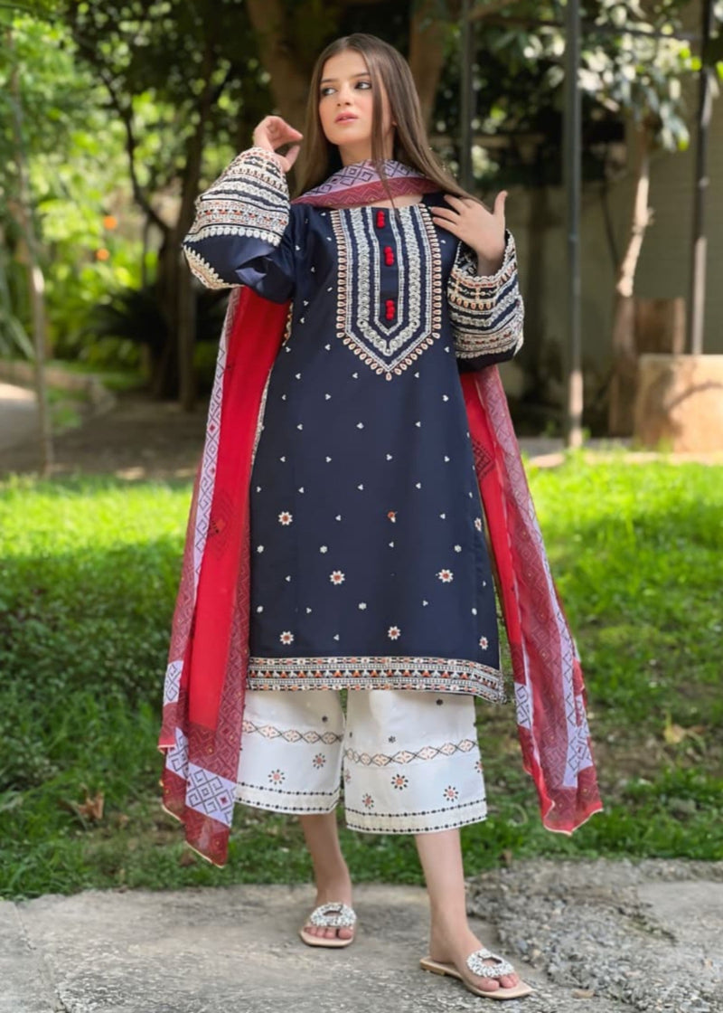 DASTAAN EMBROIDERY 3PC