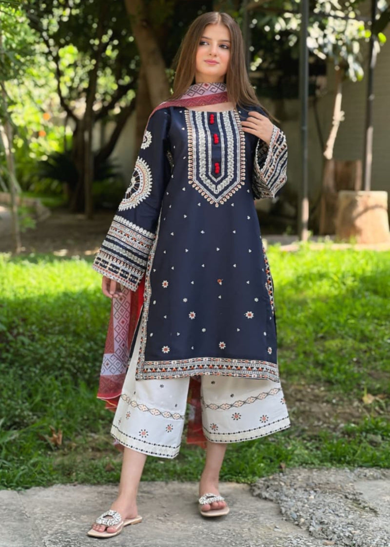 DASTAAN EMBROIDERY 3PC